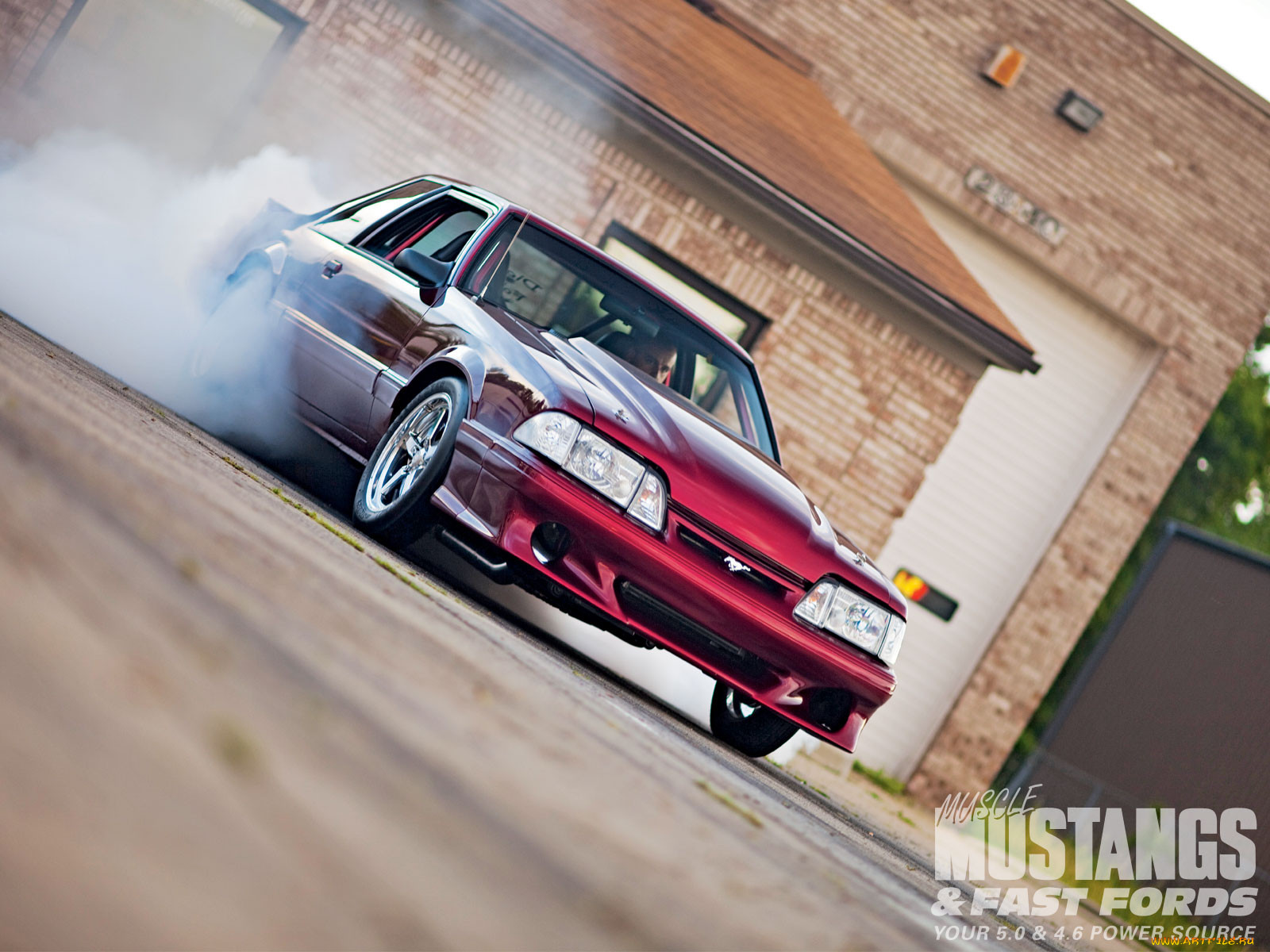 , mustang